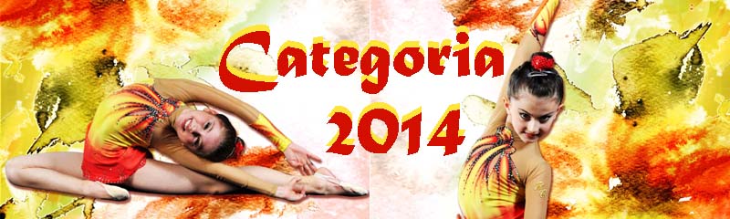 Categoria_2014