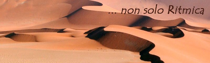 NonSoloRitmica Banner