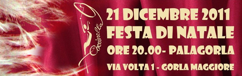 banner_festa_natale_2011