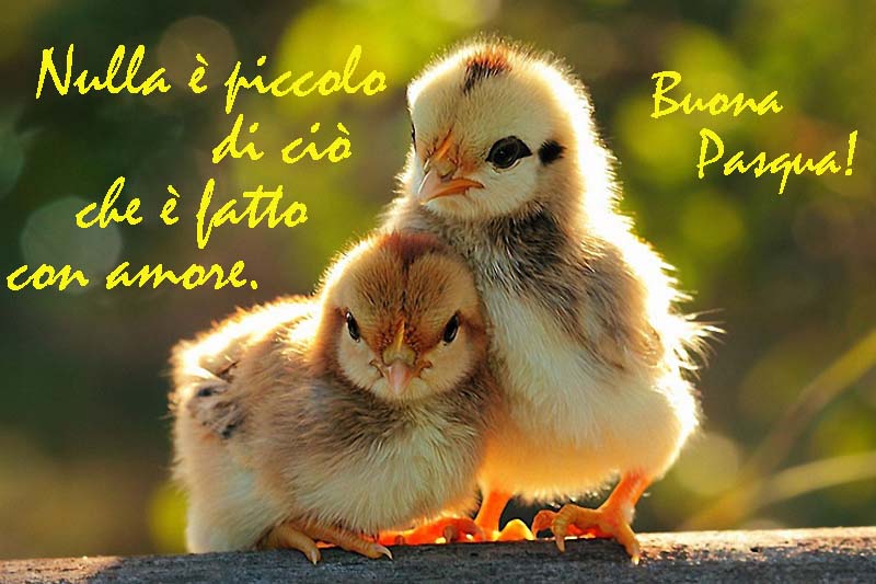 Pasqua_2014_copia